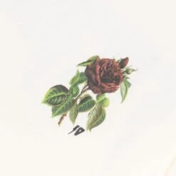 10 Deep Men Thinking Of You Long Sleeve Tee (white) -Our Apparel Shop v07a7917 3